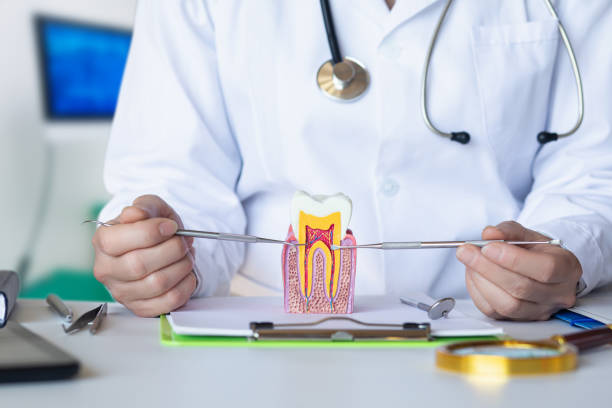 Best Emergency Treatment for Toothache in Rochester, WA